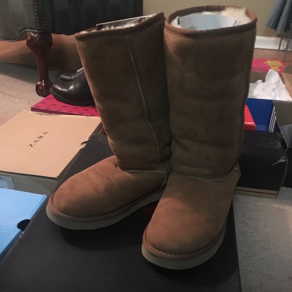 Australia Luxe Classic Cosy Tall Sheepskin Boot 7M